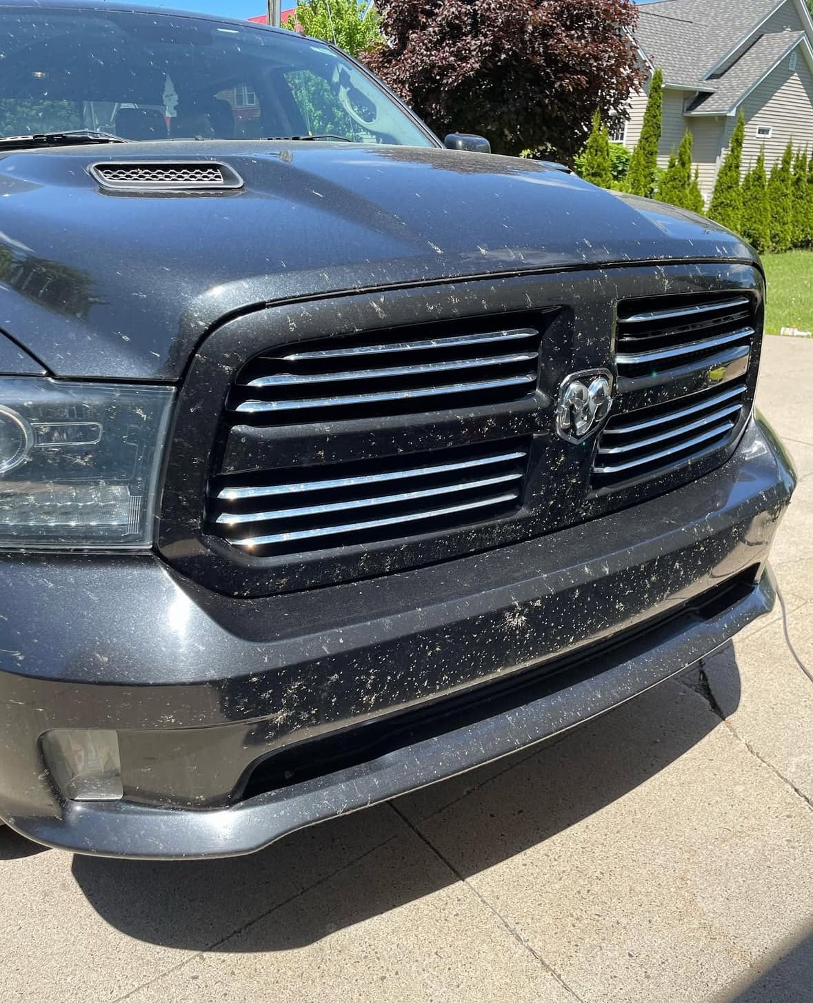 Before exterior detailing
